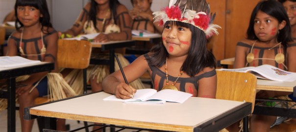 Capa do curso: Aperfeiçoamento em Educação Indígena no Brasil