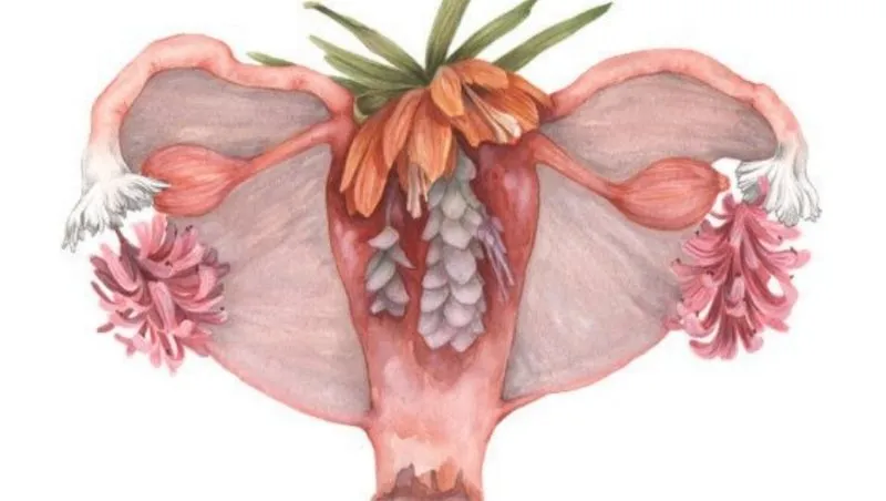 Capa do curso: Noções Básicas em Ginecologia Natural